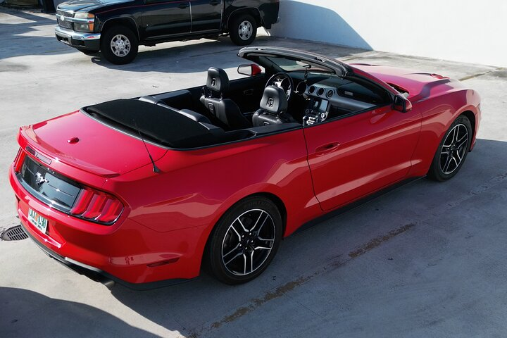 Drive a Mustang Convertible  - Photo 1 of 4